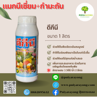 แมกนีเซี่ยม+กำมะถัน ดีกีนี (1ลิตร) ช่วยให้ใบพืชเขียวเข้มสมบูรณ์ ทำให้ใบอ่อนพัฒนาเป็นใบแก่เร็วขึ้น เพิ่มการสะสมอาหาร