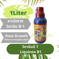 B1 บีวัน เร่งราก500ซีซีและ1ลิตร Multi extra start B-1 Root growth น้ำยาเร่งราก ยาเร่งราก ช่วยในการปักชำ แตกรากพืช