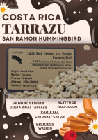 พร้อมส่ง เมล็ดกาแฟดิบ Costa Rica Tarrazu San Ramon Hummingbird washed process/ เมล็ดกาแฟนอก/ เมล็ดกาแฟสารคอสตาริกา