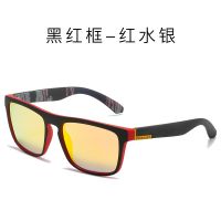 【CW】 New ishig rized gls yclig gls tect riig ls 3;s 1 gls rized ls 1 1