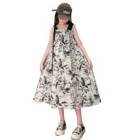 เสื้อผ้าแฟชั่นสำหรับสุภาพสตรี Girls summer dress is the new 2023 brim cuhk childrens modern ink painting childrens princess dress skirt