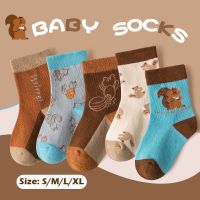 ۩  Baby Socks Autumn Winter Children Socks Kids Little Big Boys Calf Sock 5 Pack Cotton Socks