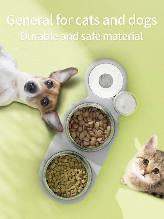 cat-bowl-automatic-feeder-dog-cat-food-bowl-with-water-fountain-double-bowl-drinking-raised-stand-dish-bowls-for-cats