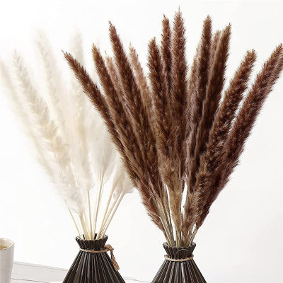 Sanwood®หญ้าอบแห้งสำหรับใช้ในบ้าน,หญ้าแพมเพิสแห้งประดิษฐ์ดอกไม้แห้งที่สวยงามเป็นมิตรกับสิ่งแวดล้อมจำนวน30ชิ้น