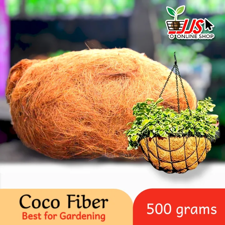 🛒 JJS Store 500 grams Coco Fiber Coco Coir Fiber for making Coco Rope