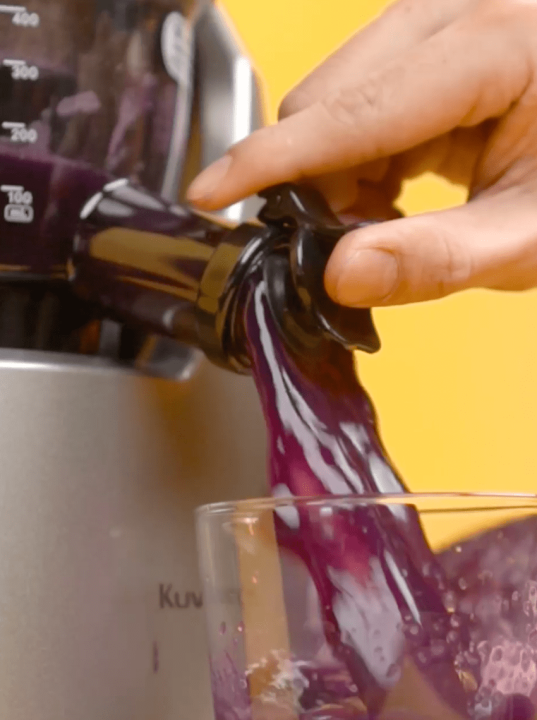 [PREORDER] Kuvings "Reliable Ryan" B1700 Cold Press Juicer Lazada