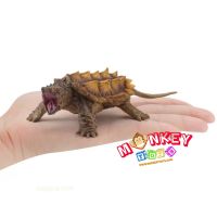 Monkey Toys - โมเดลสัตว์ Alligator Tortoise เต่า อัลลิเกเตอร์ แดง ขนาด 15.00 CM (จากหาดใหญ่)