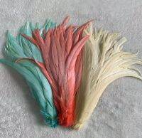 50pcs Rooster Tail Feather Plumes 25-45CM 10-18inch Dyed Cock Clothing Accessories Jewelry Performance