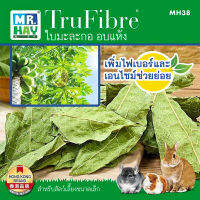 MR.HAY TruFibre Papaya Leaf ใบมะละกอ อบแห้ง ช่วยเพิ่มไฟเบอร์และเอนไซม์ กรอบอร่อย เคี้ยวเต็มคำ 20g (MH38)