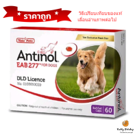 Antinol สุนัข อาหารเสริมบำรุงข้อ ลดอักเสบ EXP9/2024