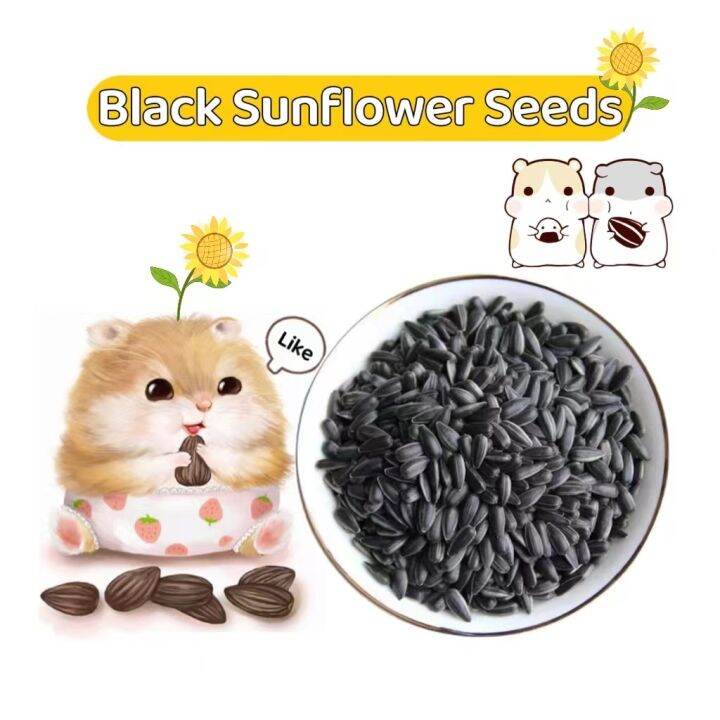 Pet Wonderland 150g Hamsters Organic Black Melon Seeds Bird Snacks