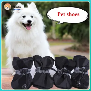 Dog shoes outlet lazada