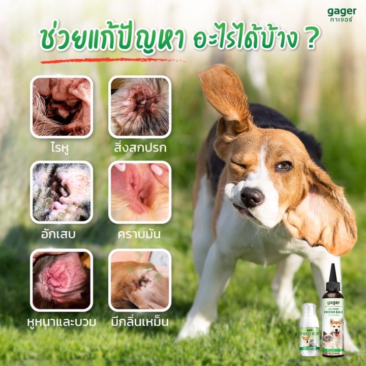 gager-น้ำยาเช็ดหูแมว-หมา-โลชั่นทำความสะอาดหู-สำหรับสัตว์เลี้ยง-ช่วยลดกลิ่น-ป้องกันไรหู-120ml
