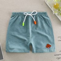 ✨Superseller✨ Summer Boys Shorts Cotton Beach Wear Loose Bottom Short