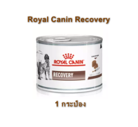 (1กระป๋อง)Royal Canin recovery 195กรัม อาหารสำหรับสุนัข และแมว พักฟื้น