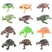 Đồ chơi 12 con Rùa mô hình đáng yêu Natural Turtle nhựa độc đáo cho bé