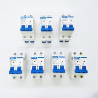 NEW CHINT Mini Circuit Breaker NXB-63 2 Poles C Type 6A 10A 16A 20A 25A 32A 40A 50A 63A 400V MCB DZ47-63