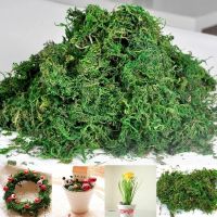 [ดอกไม้ประดิษฐ์ร้อน688] Musgo เทียม De Alta Calidad Para Decoración Sogar Simulación De Plantas Verdes Falsas Accesorios De Micro Paisaje 20G/50G/100G