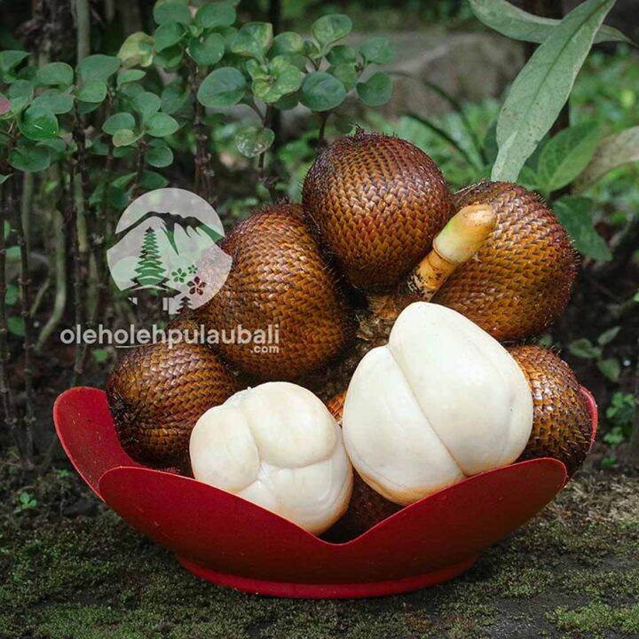 Buah Salak Bali Salak Gula Pasir | Lazada Indonesia