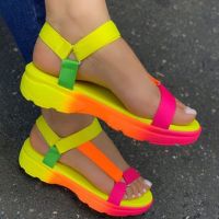 Beach Shoes Woman 2023 Summer Sandals Woman Non-Slip Casual Multi Color Shoes Fashion Solid Open Toe Sandals Daily Comfortable