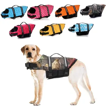 Chihuahua on sale life vest