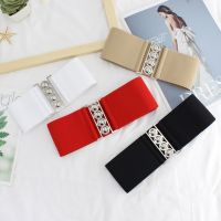 New Wide Elastic Women Belts