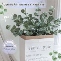 ใบยูคาลิปตัสกระดาษสา สไตล์มินิมอล ต้นละ 100 บาท