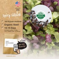 1แถม1 เมล็ดผักนำเข้า ไมโครกรีน Microgreens Mix (Organic Seed) ผักจิ๋ว ต้นอ่อน เพาะง่าย