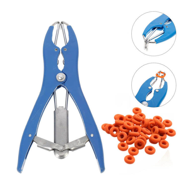 1Pcs Stainless Steel Castration Plier with 20Pcs Castrated Rubber Rings