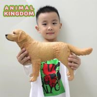 Animal Kingdom - โมเดล Dog หมา สุนัข โกลเด้น ขนาด 35.00 CM แบบนิ่ม (จากสงขลา)