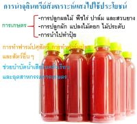 (250 ml) หัวเชื้อจุลินทรีย์สังเคราะห์แสง (photosynthetic bacteria; PSB) พร้อมใช้งานและขยายหัวเชื้อ บำรุงราก ต้น ดอกดก ลูกดก โตเร็ว