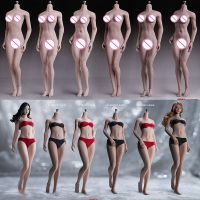 hot！【DT】☍  TBLeague Phicen 1/6 Female Seamless Pale Suntan Small Mid Big Bust Figure Super