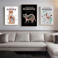 ✉ Wall Art สัตว์ art Anatomy Cat Raccoon นกฮูกโปสเตอร์ผ้าใบพิมพ์สำนักงานภาพวาดภาพห้องนั่งเล่นตกแต่งภาพวาด