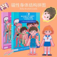 [COD] Magnetic human body organ cognitive puzzle jigsaw 0.45 kindergarten childrens structure science and education toys