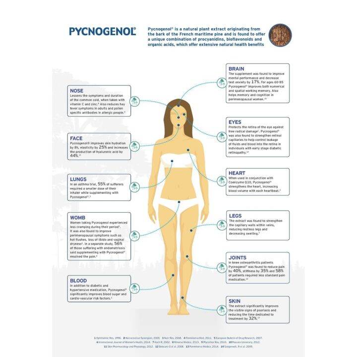 สารสกัดจากเปลือกสนฝรั่งเศส-pycnogenol-100-mg-60-veggie-caps-healthy-origins