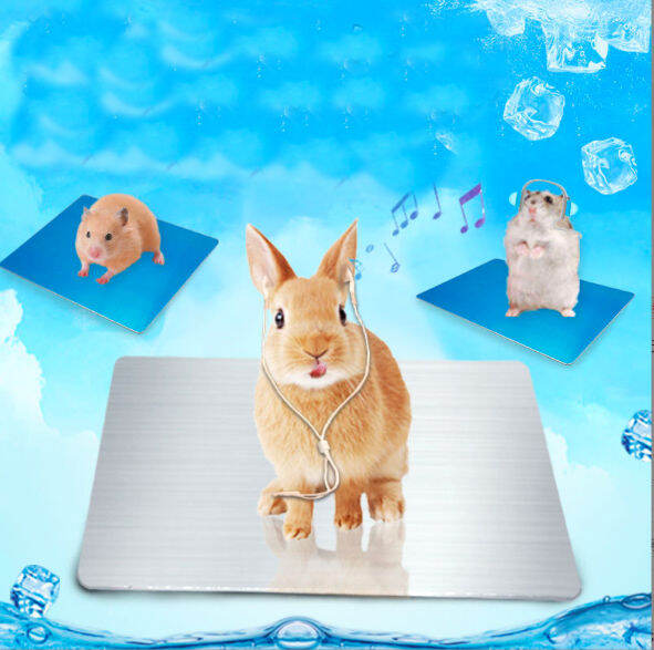 Hamster cooling stainless pad Lazada PH