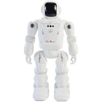 RC Remote Control Robot Programmable Infrared Gesture Control Dance Robot for Childrens Gift