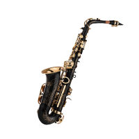 [ammoon]Eb Alto Saxophone Sax Brass Lacquered Gold 82Z Key Type Woodwind Instrument with Padded Carry Case Gloves Cleaning Cloth Brush Sax Straps Reeds