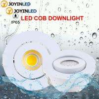 กันน้ำ LED Down ไฟปรับหรี่แสงได้3W AC90-260V Dc LED IP65 Downlight โคมไฟเพดาน Led กลางแจ้ง MINI LED Spot Color