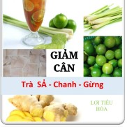 HCMTRÀ GIAM CAN XẢ CHANH GỪNG 50 TÚI LỌC