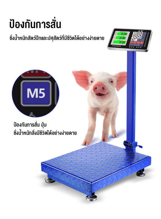 เครื่องชั่งดิจิตอลแบบตั้งพื้น-150-300kg-ครื่องชั่งน้ำหนัก-เครื่องชั่งอาหาร-เครื่องชั่งอิเล็กทรอนิกส์เชิงพาณิชย์-เครื่องชั่งคำนวนราคา