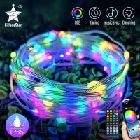 （roast chicken）ไฟ LED Fairy String RGB APP ควบคุมหรี่แสงได้ USB เพลงซิงค์ต้นคริสต์มาสห้องนอนปาร์ตี้ไฟสตริงหนังตกแต่ง