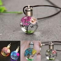 New Luminous Dried Flower Butterfly Glass Ball Car Pendant Car Craft Decoration Pendant Car Interior Decor Car Accessories