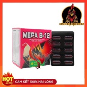 B12 cho gà Thuốc nuôi gà đá tăng bo MEGA-B12 tăng máu, tăng nước