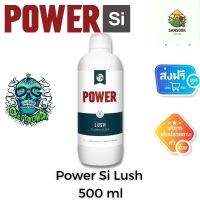 [ready stock][ Power Si ] - Lush (ขวดแท้500ml) สารสกัดจากสาหร่ายทะเล เสริมการเจริญเติบโตและการออกดอกที่แข็งแรง เพิ่มเทอร์ปีนมีบริการเก็บเงินปลายทาง