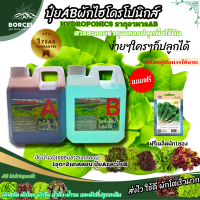 ปุ๋ยน้ำไฮโดรโปนิกส์ ปุ๋ยAB/พลัส ปุ๋ยผักสลัด ปุ๋ยผักHydroponics สูตรเข้มข้น ใช้ได้ทั้งน้ำนิ่งและน้ำวน(แถมฟรีเมล็ดพันธุ์ คะน้าใบ1ซอง)