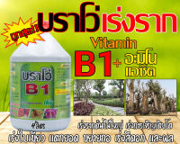 น้ำยาเร่งราก สูตรเข้มข้น บราโว่ B-1 Plus Super Start ขนาด 4 ลิตร เหมาะกับพืชใหญ่ ต้นไม้ใหญ่