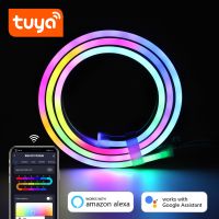 12/24V RGBIC LED Neon Strip WiFi Tuya APP control 1/2/3/4/5/10M RGBIC lamp tape Work With Alexa For Home dynamic Deocor Lighting