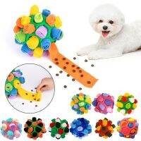 Dog Sniffing Interactive Snuffle Encourage Training Educational Slow Feeder Dispensing