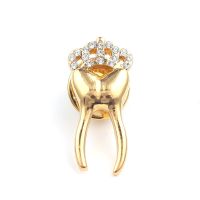 Hanreshe Luxury Crown Teeth Crystal Brooch Classic Dentist Dental Lapel Jewelry Gift for Doctors Nurses Medical Tooth Pin Fashion Brooches Pins